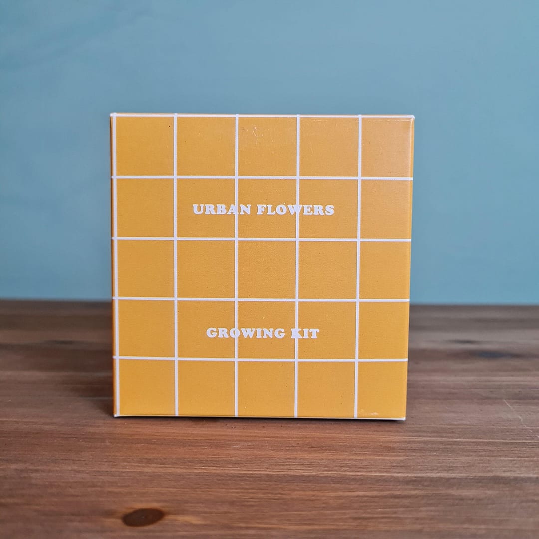 Urban flowers kit fiori gialli