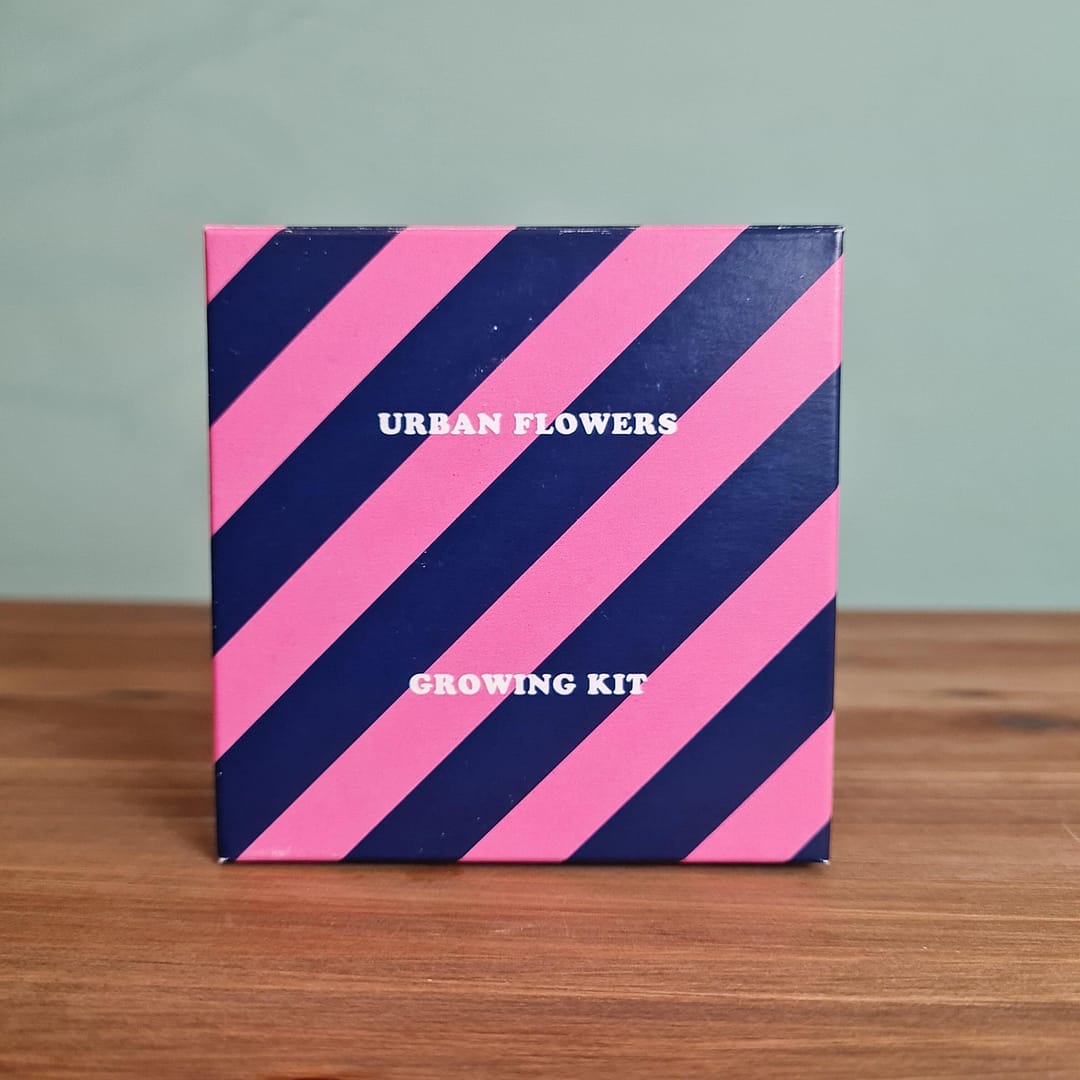 Urban flowers kit fiori blu